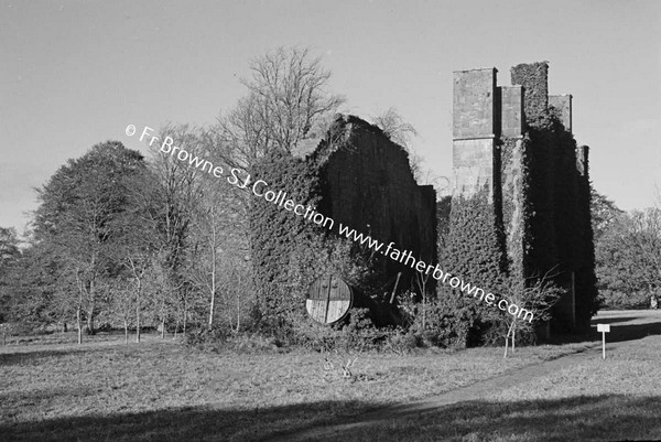 BIRR CASTLE  RUINS OF TELESCOPE HOUSE AND DETAILS